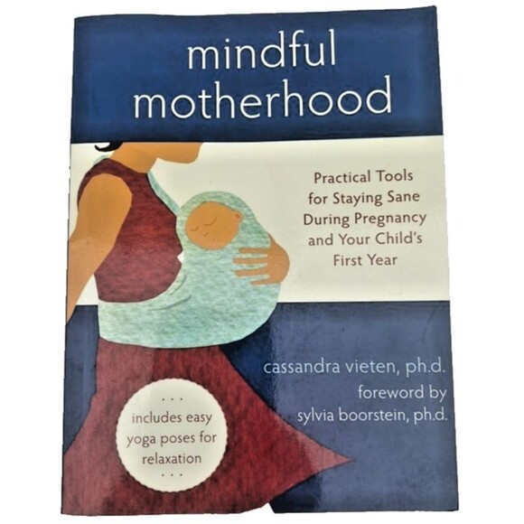 Mindful Motherhood: Practical Tools for Staying Sane During Pregnancy & First Yr - Picture 1 of 6